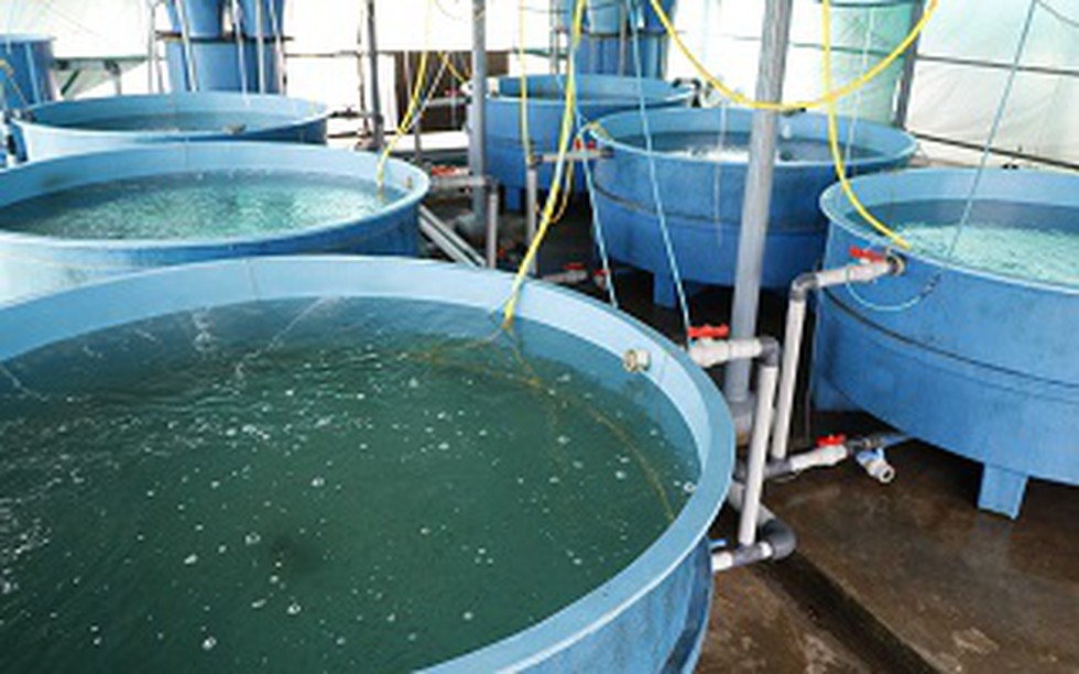 current affairs image