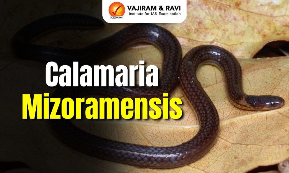 current affairs image