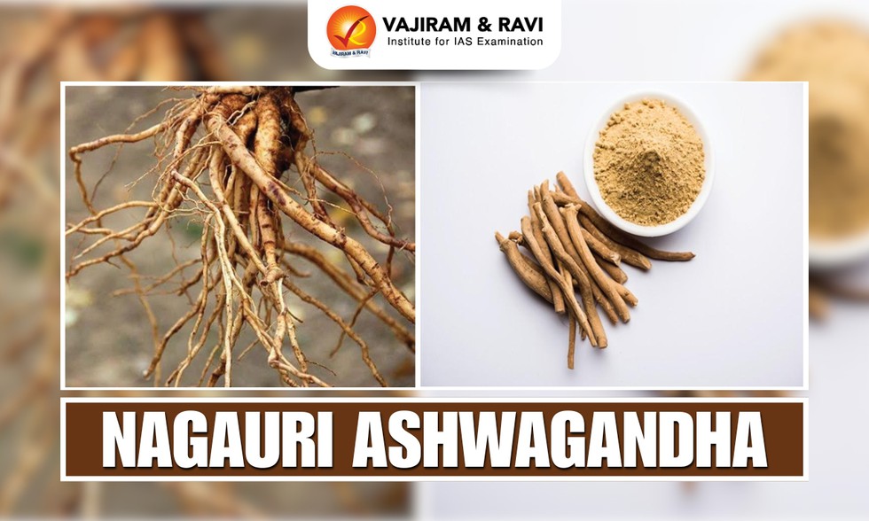 current affairs image