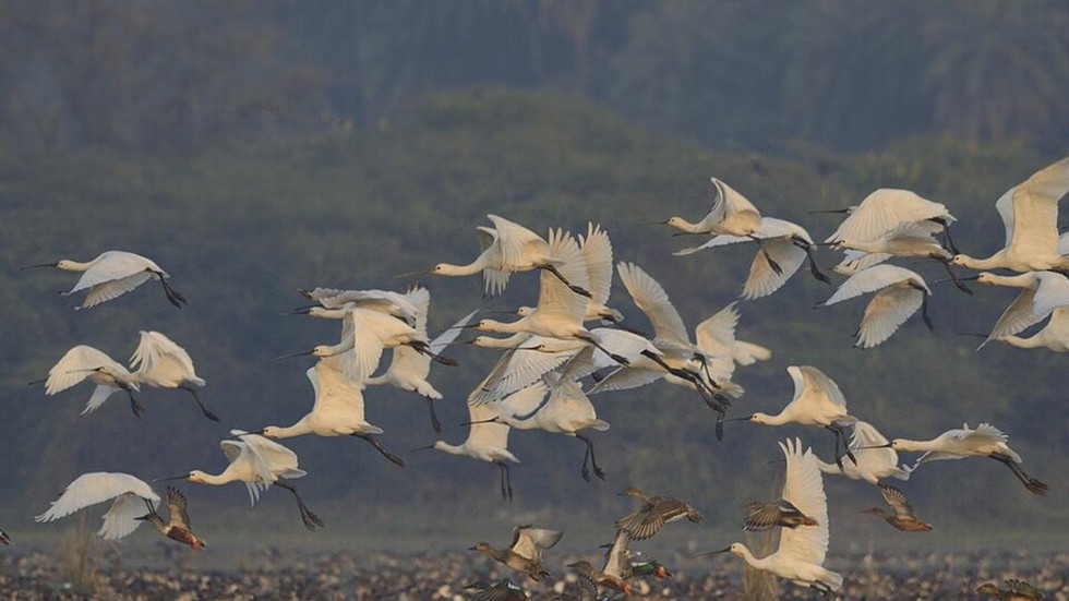 current affairs image