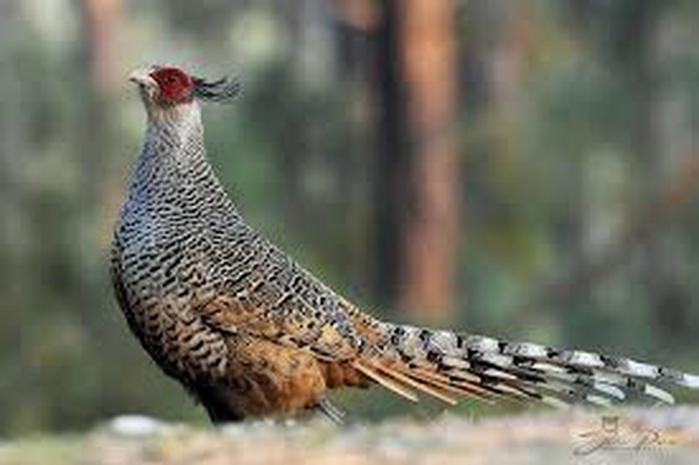 current affairs image