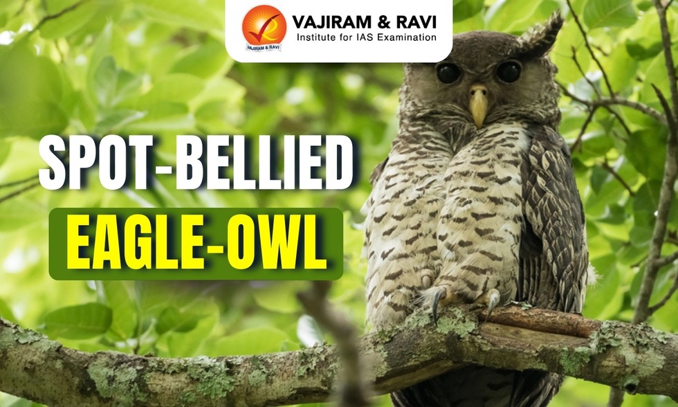 current affairs image