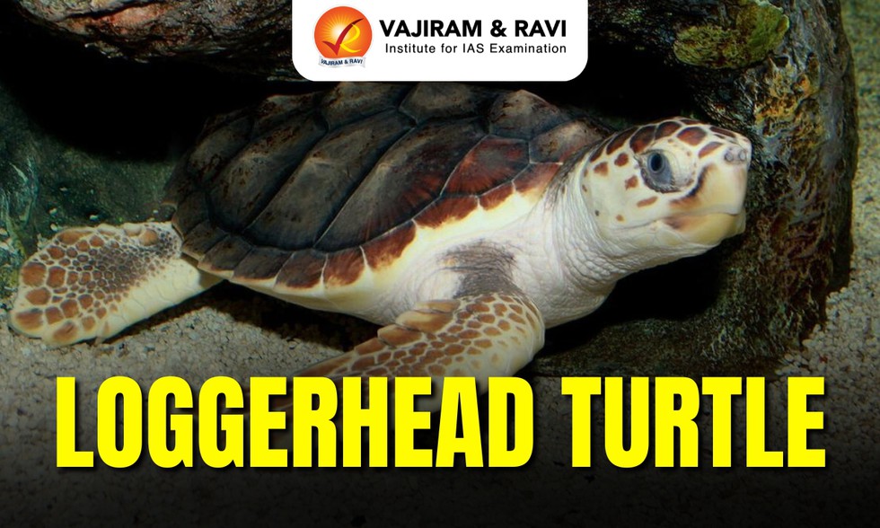 current affairs image