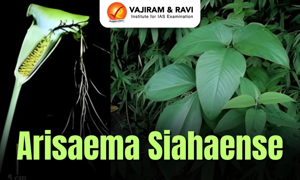 current affairs image