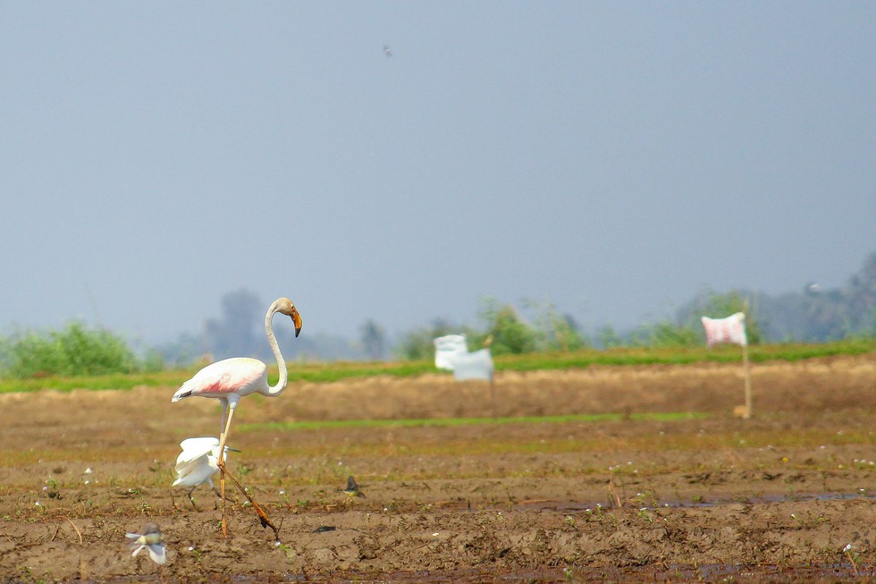 current affairs image