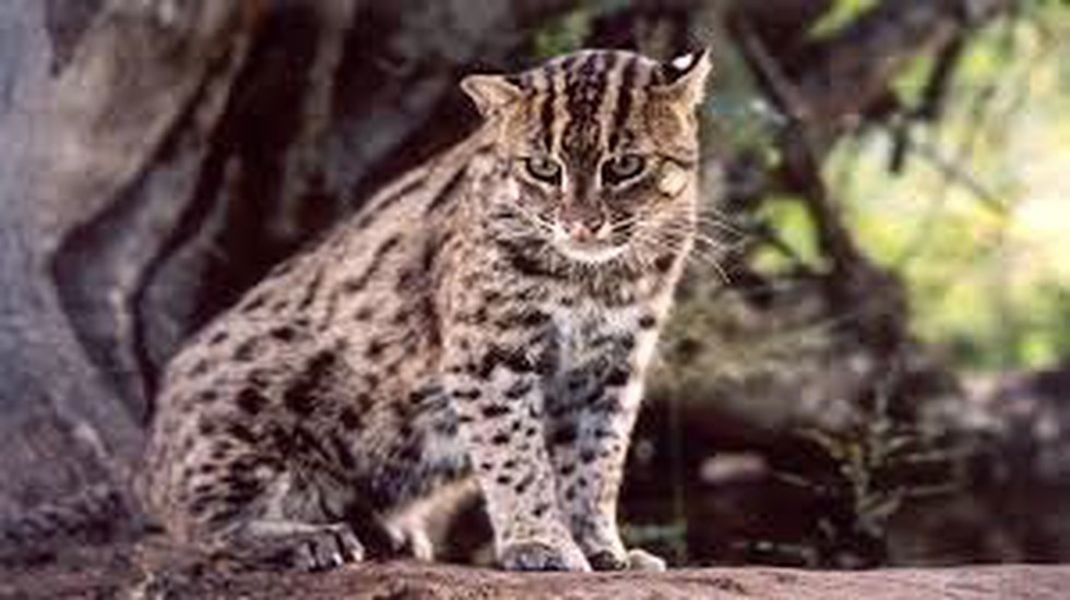 current affairs image