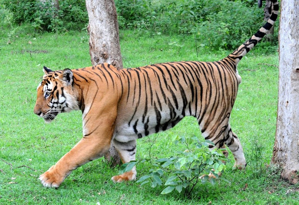 current affairs image