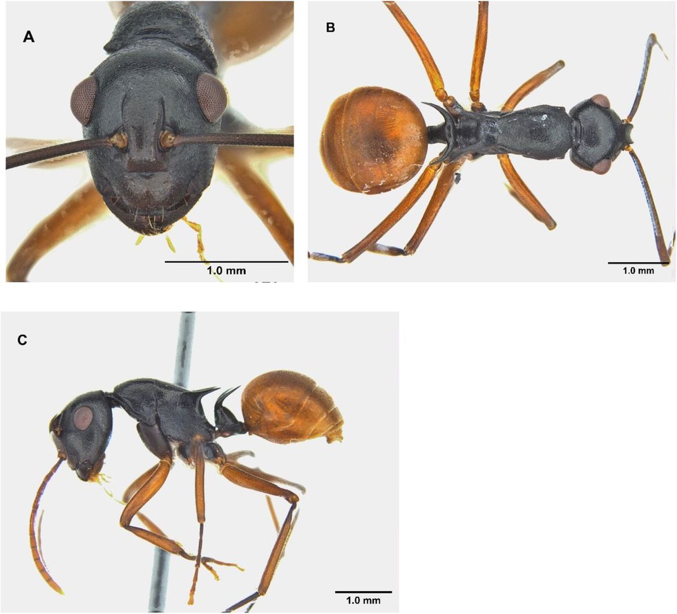 current affairs image