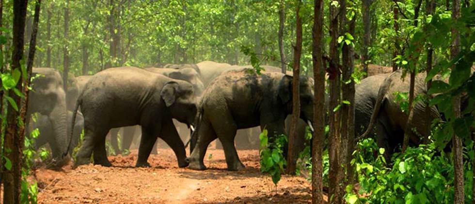 current affairs image