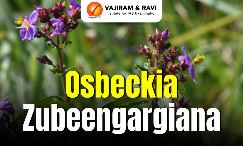 current affairs image