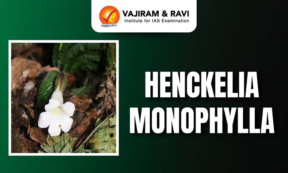 current affairs image