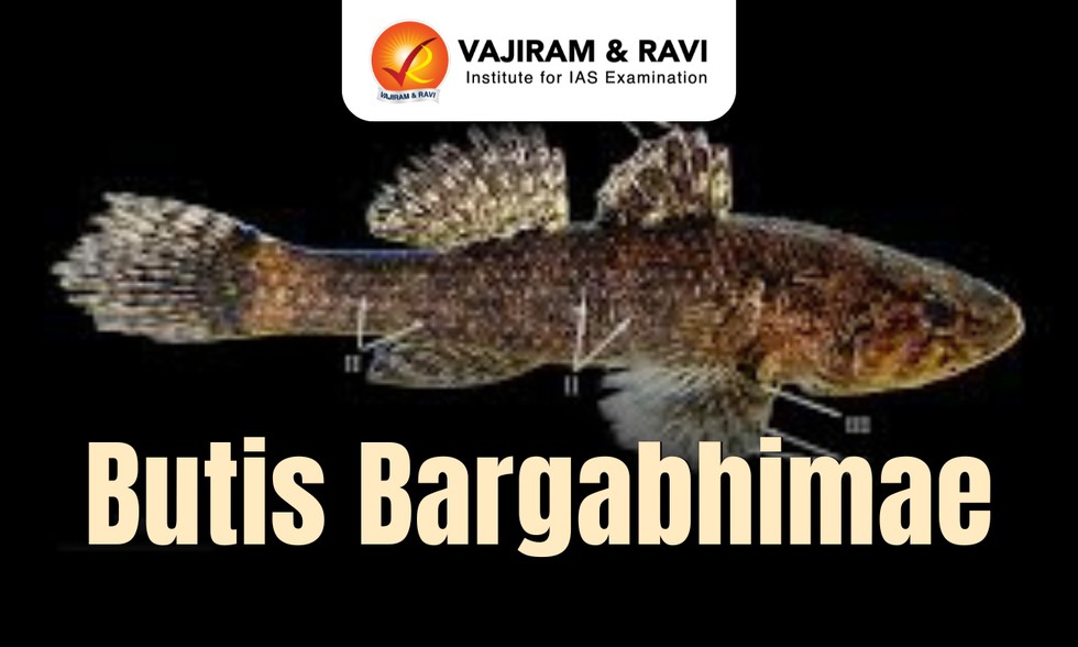 current affairs image