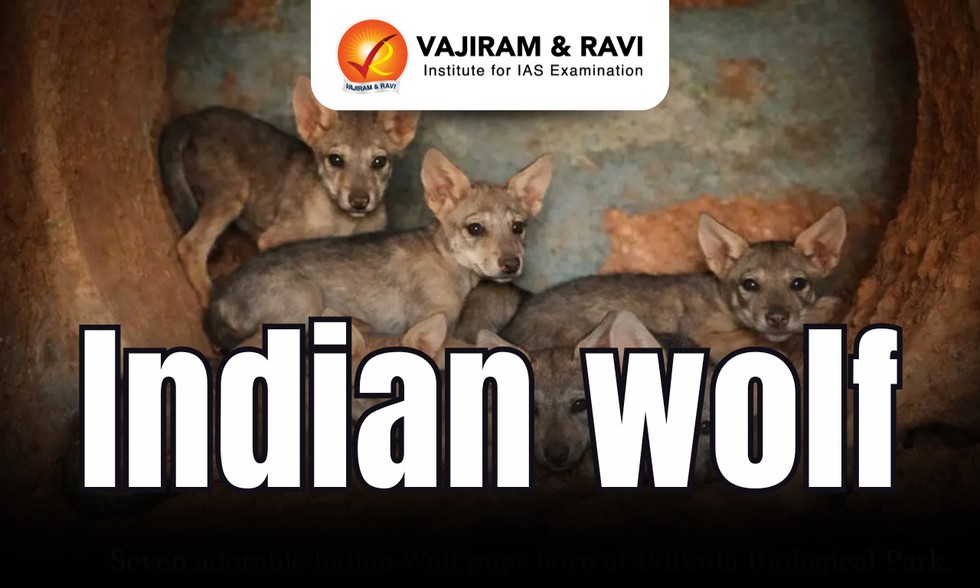 current affairs image