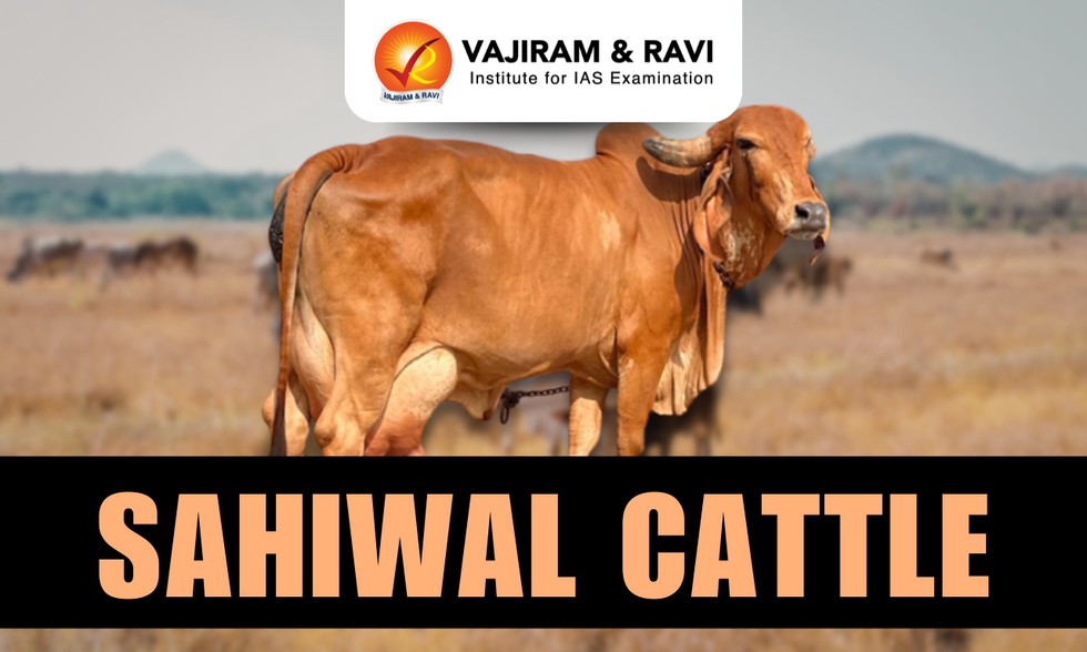 current affairs image