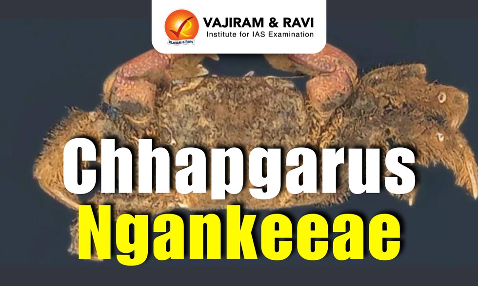 current affairs image