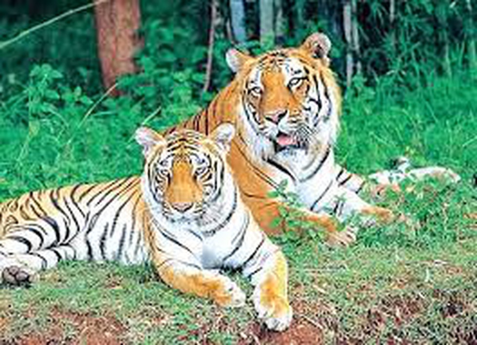 current affairs image