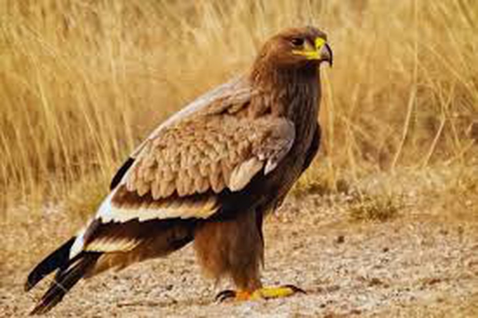 current affairs image