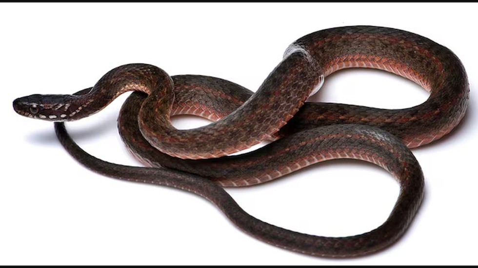 current affairs image