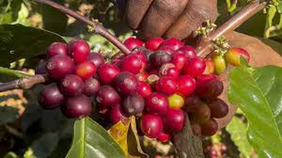 current affairs image