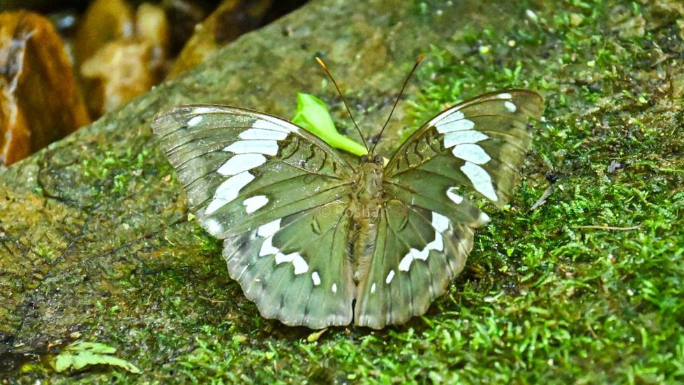 current affairs image