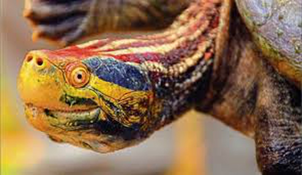 current affairs image