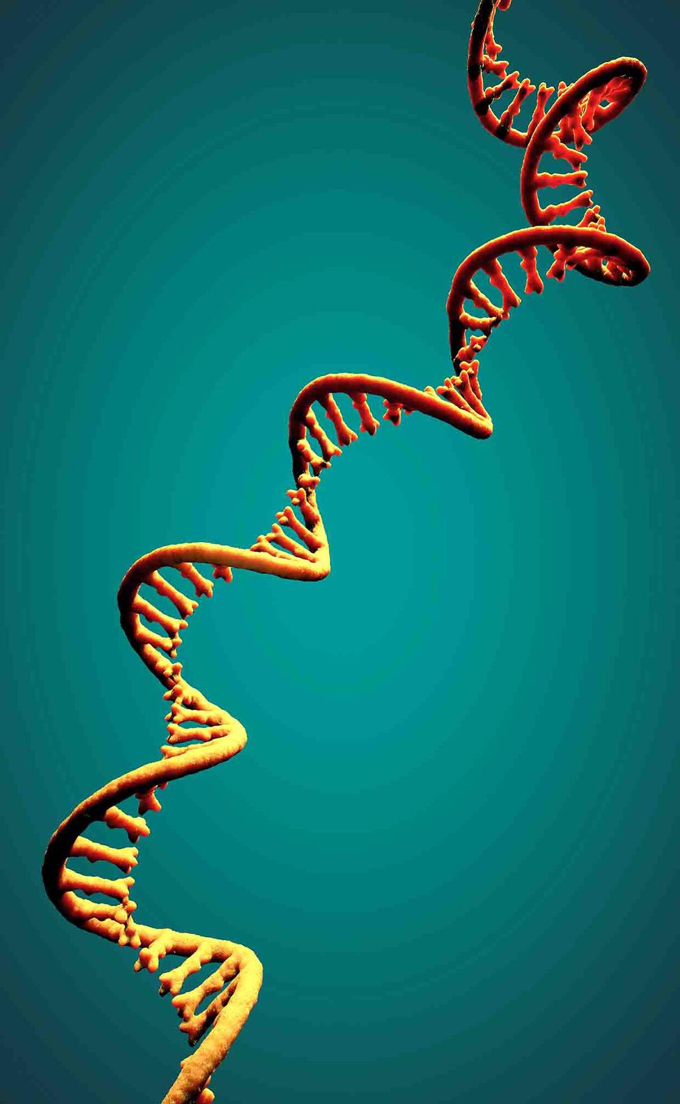 current affairs image