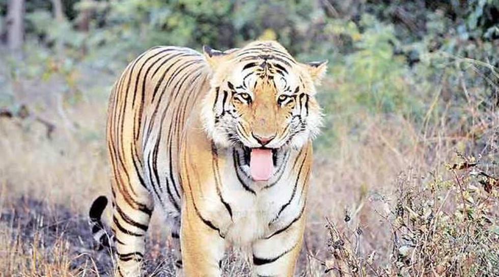 current affairs image