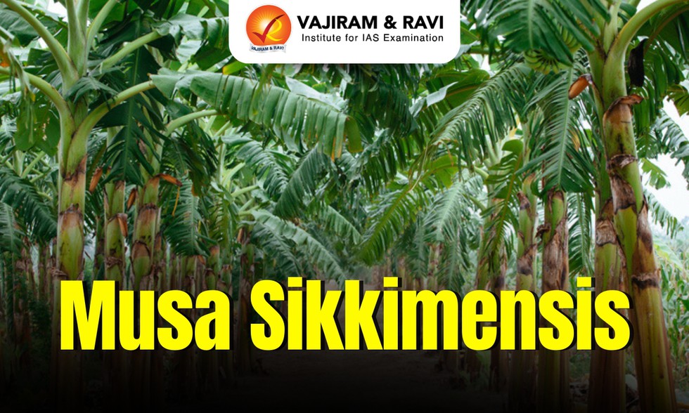 current affairs image