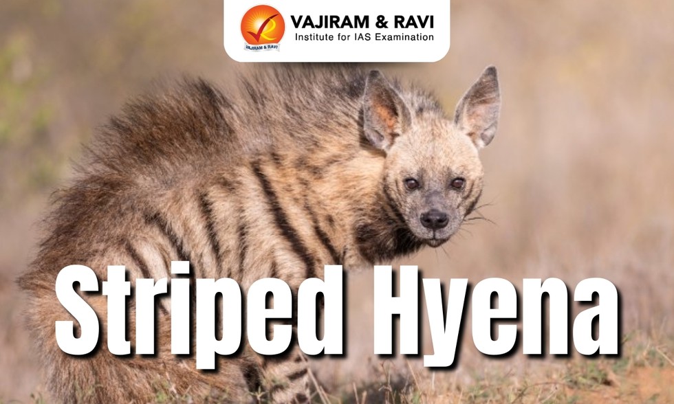 current affairs image