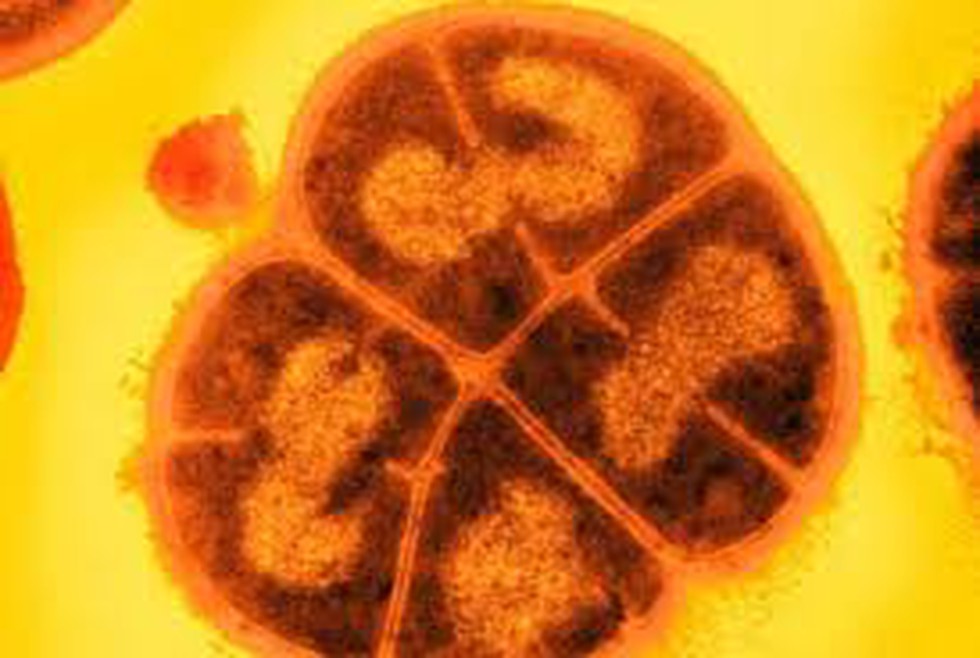 current affairs image