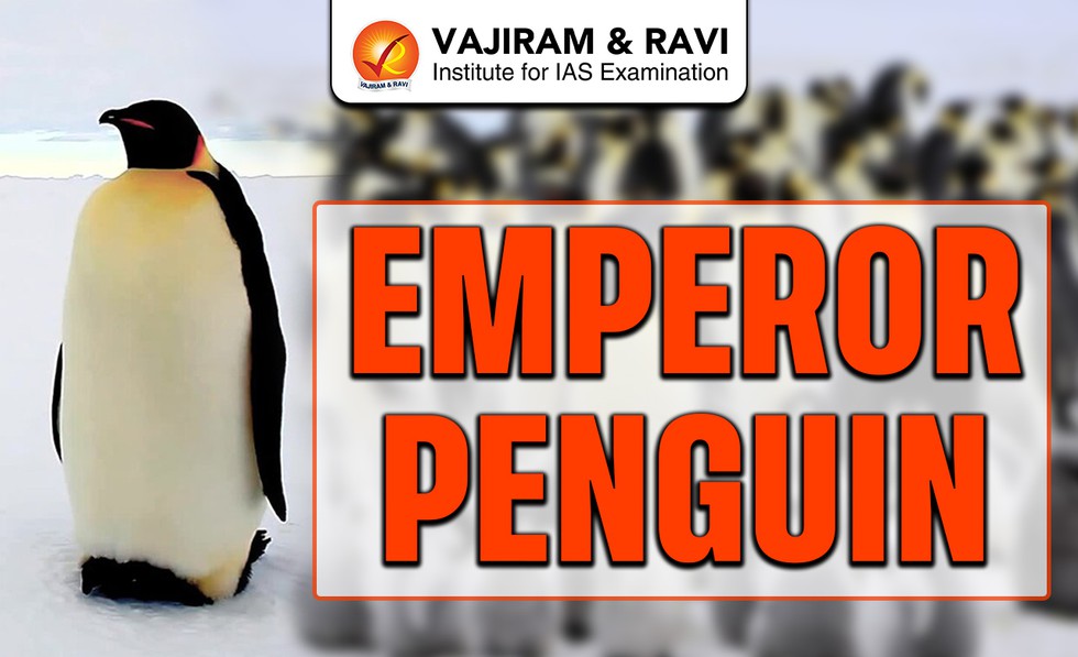 current affairs image