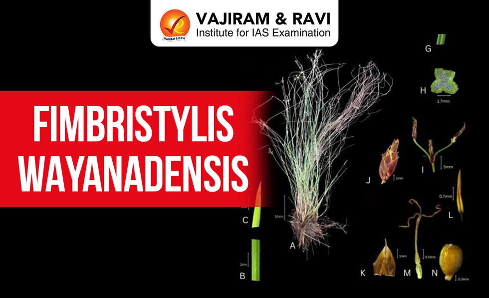 current affairs image