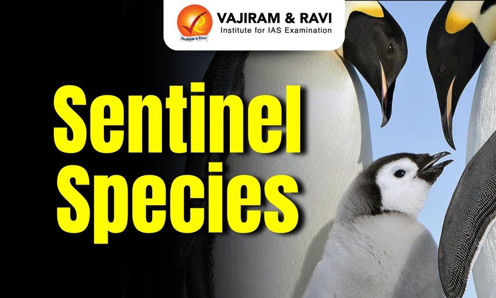 current affairs image