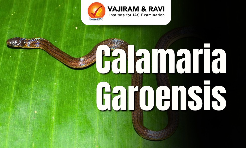 current affairs image