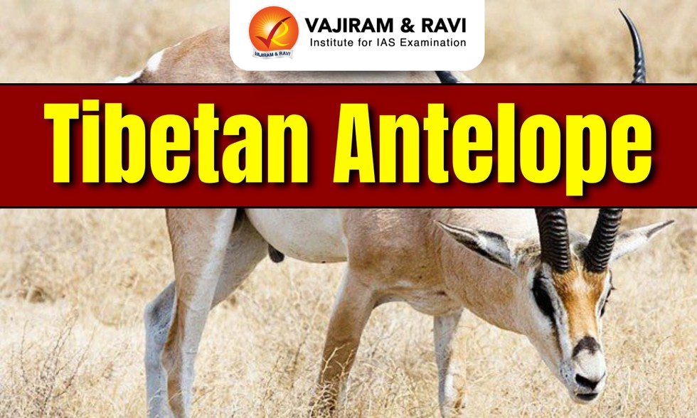 current affairs image