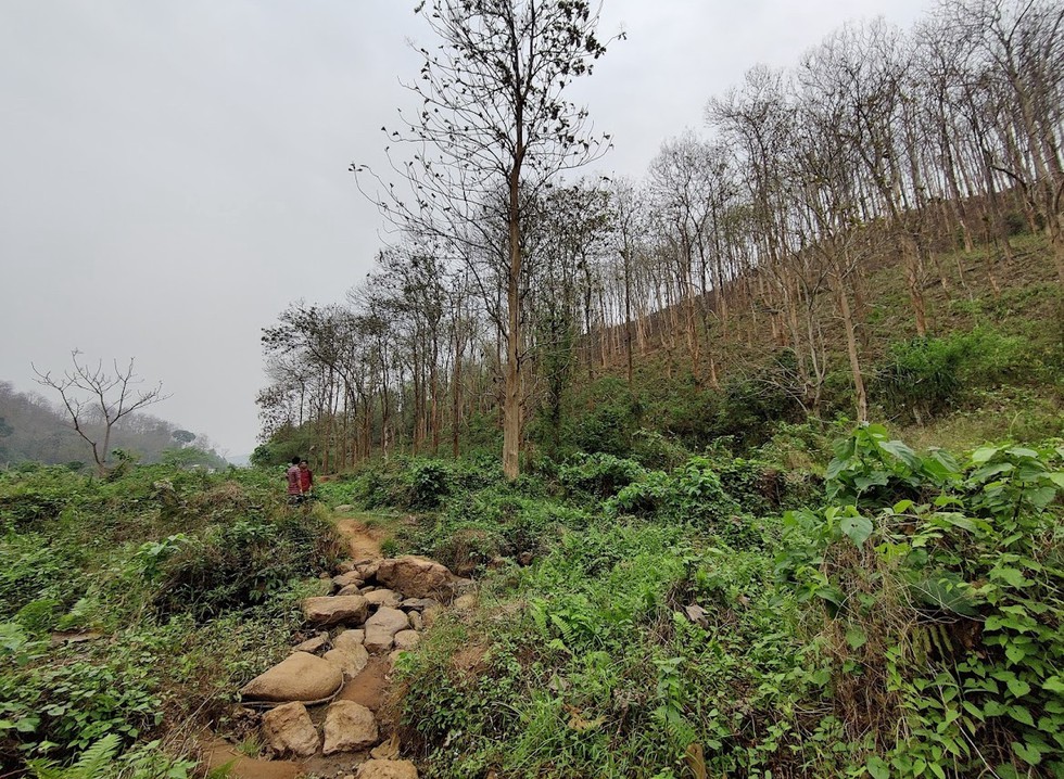 current affairs image