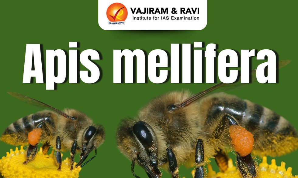 current affairs image