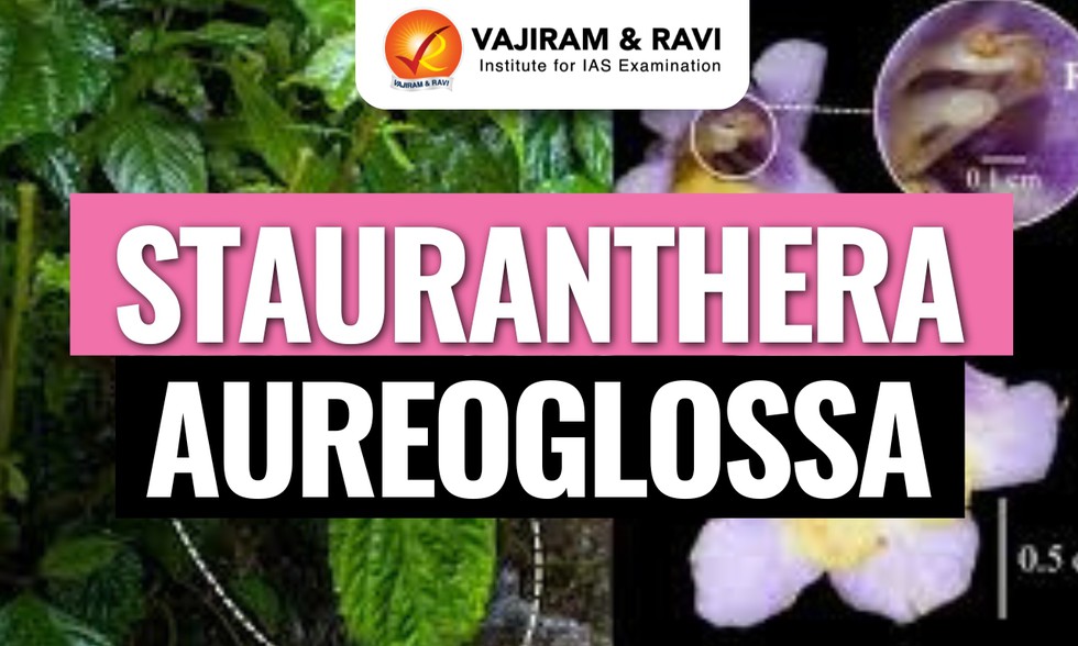 current affairs image