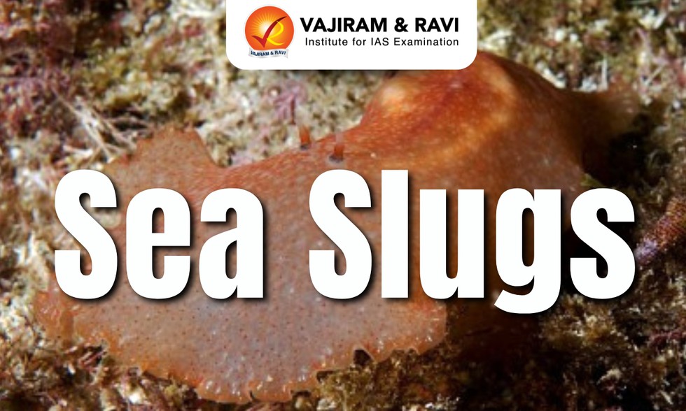 current affairs image