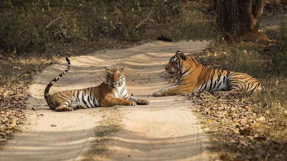 current affairs image