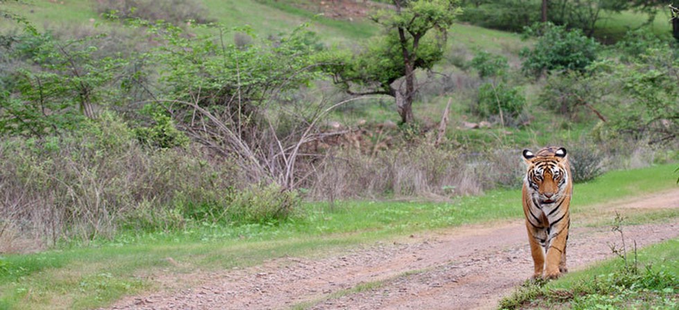 current affairs image