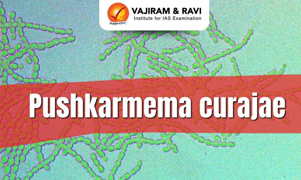 current affairs image