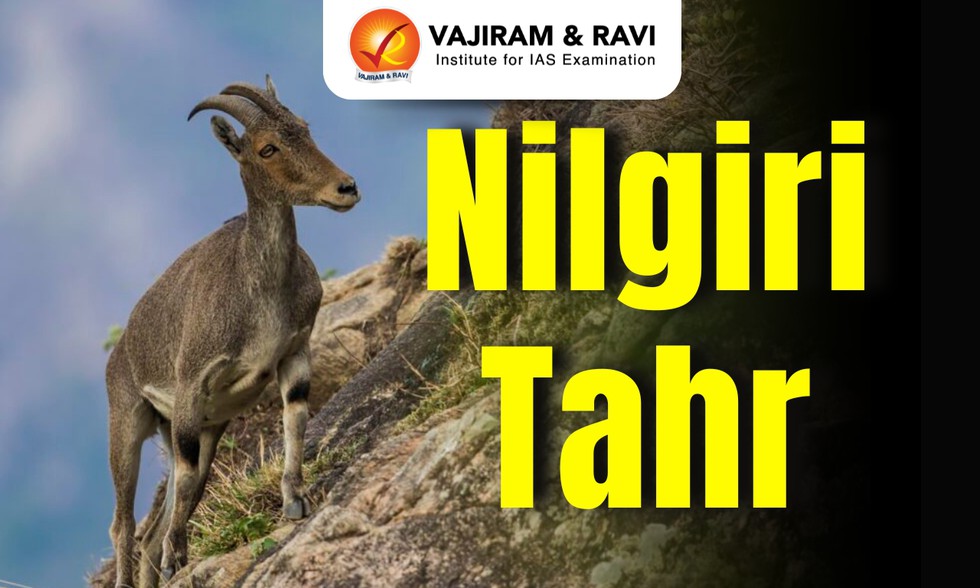 current affairs image