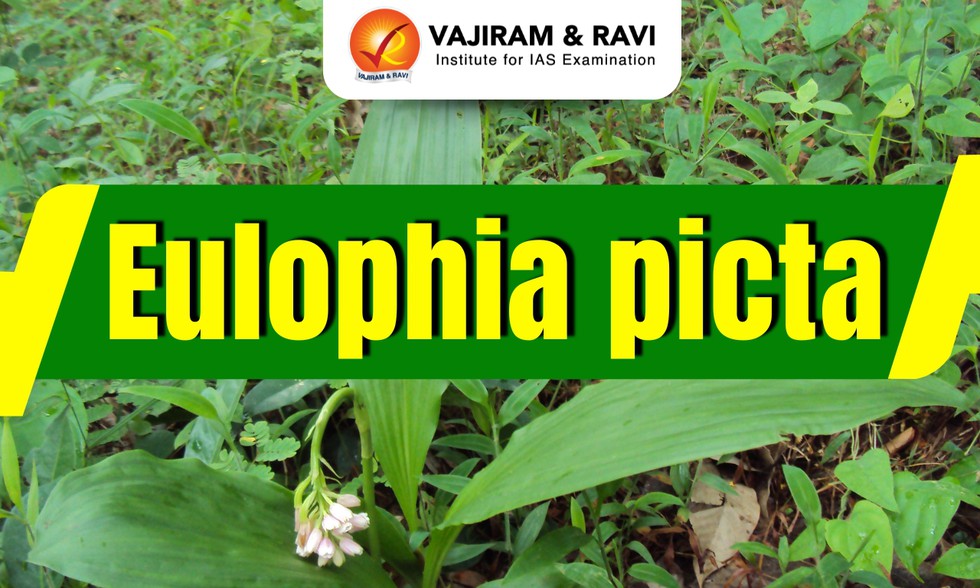 current affairs image