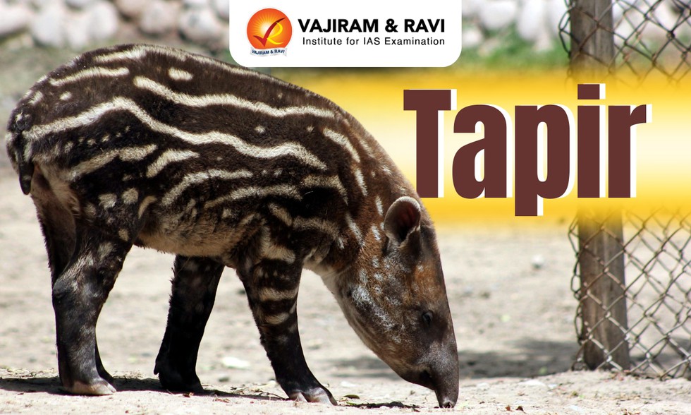 current affairs image