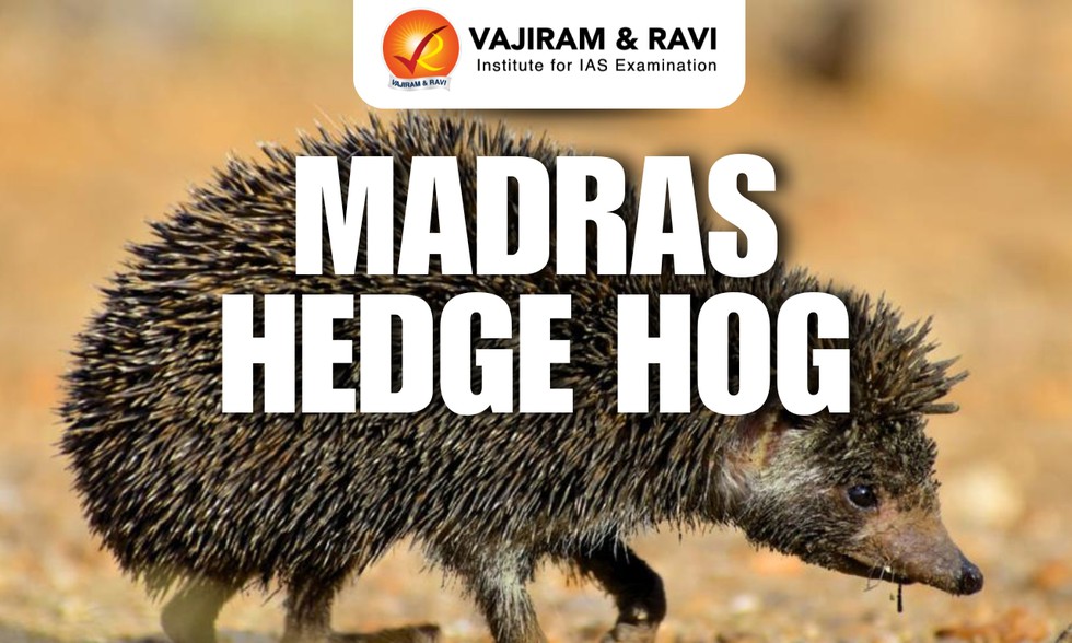 current affairs image