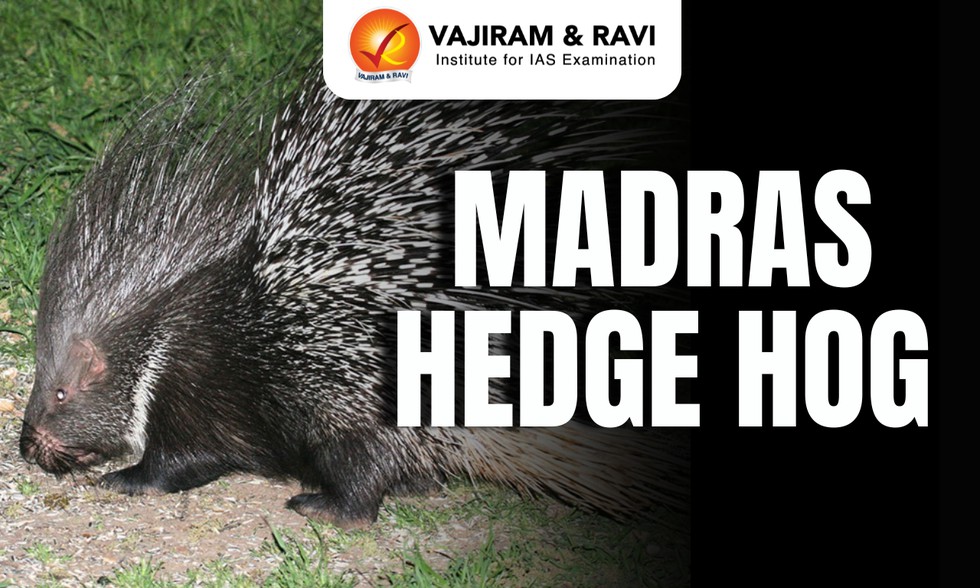 current affairs image