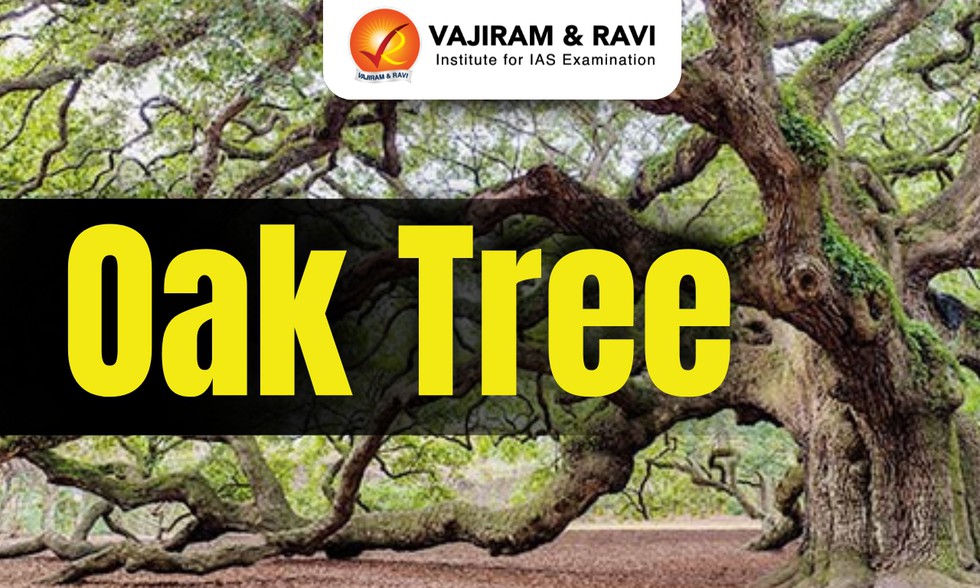 current affairs image