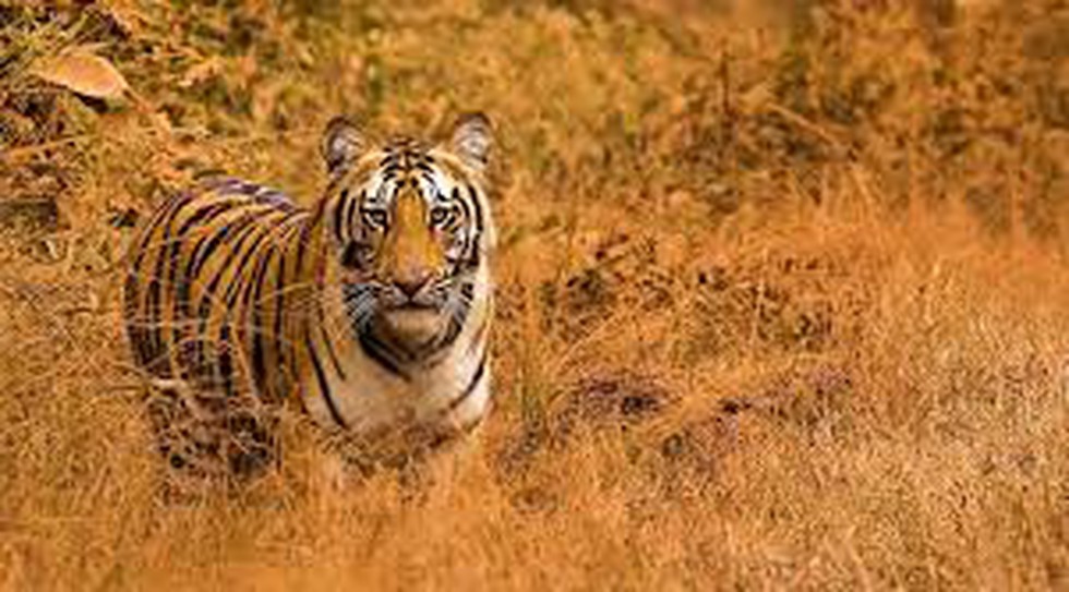 current affairs image