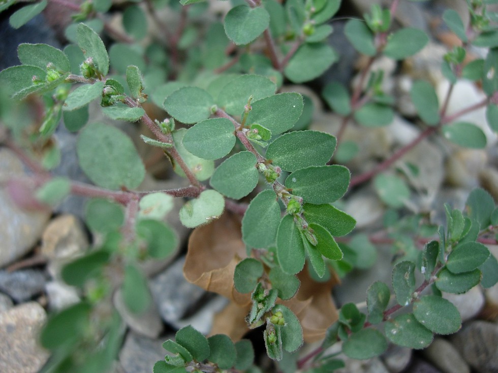 current affairs image